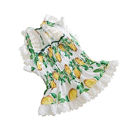 BUGUUYO empfindliche Haustierkleidung waschbares Hundekleid weiblicher Welpe Hund Prinzessin Kleider Hündchen tierkostüme Dog Costume Hundezubehör waschbares Katzenkleid Stoff Colorful von BUGUUYO