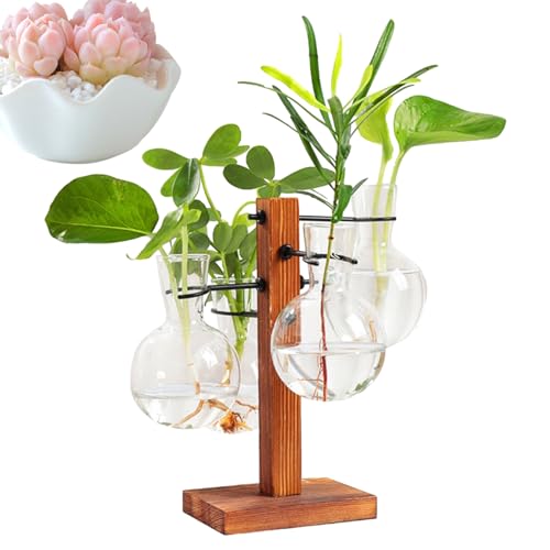 Terrarium mit Ständer, Pflanzenterrarium mit Holzständer,Heimpflanzen-Terrarium-Set - Moderne Luftpflanzer-Glühbirnen-Glasvase mit Holzständer, Glühbirnenbecher-Glasvase für Hydrokulturpflanzen Bukisa von BUKISA