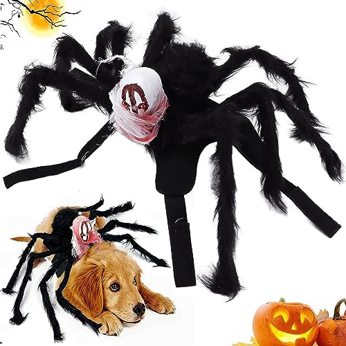 Halloween-Spinnen-Kostüme für Hunde, Halloween Spinnenkostüm für Hund Katze,Hundekostüm Halloween Katze, Spinnenkostüm für Kleine mittelgroße Hunde und Katzen (S) von BUKYCAT