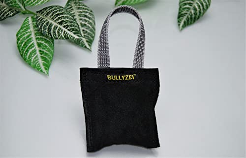 BULLYZEI Beißwurst Leder 10 x 10 cm, 1 Schlaufe in silbere gummiert von BULLYZEI