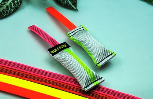 BULLYZEI Dummy Feuerwehrschlauch Mini Neon-Extrem 10 x 3,5 cm, 1 Band (Neon-Gelb Nylon) von BULLYZEI