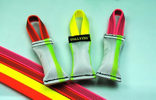 BULLYZEI Dummy Feuerwehrschlauch Mini Neon-Extrem 10 x 3,5 cm, 1 Schlaufe (Neon-Gelb Nylon) von BULLYZEI