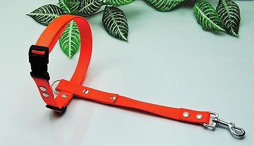 Böttcher Fährtengeschirr Fester Steg, Gr.L Nylon 25mm Neon-Orange von BULLYZEI