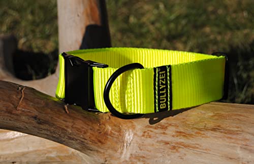 breites Nylon Halsband 4cm Neon, Suchhund von BULLYZEI