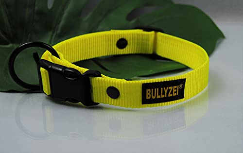 Halsband Neon-Gelb 25mm breit von BULLYZEI