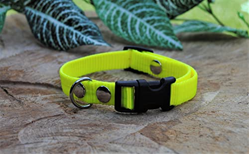 Halsband Nylon 15mm Neon-Gelb Collie Welpenhalsband von BULLYZEI