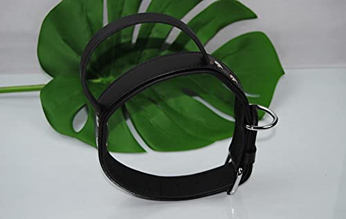 Lederhalsband mit Griff 60cm schwarz Hetzhalsband von BULLYZEI