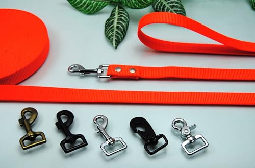 Leine Nylon Neon-Orange 25mm x 2m Trainingsleine Führleine (Karabiner: Silber, ohne Schlaufe) von BULLYZEI