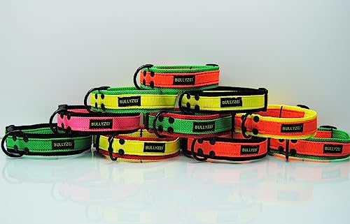 breites Nylon Halsband 4cm Grün - Streifen Orange, Bulldogge Retriever von BULLYZEI