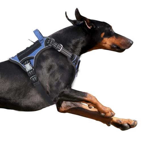 BUMBIN Taktisches Hundegeschirr für kleine Hunde, kein Ziehen, berühmtes TIK Tok No Pull Welpengeschirr, Fit Smart reflektierendes Haustier-Walking-Geschirr für Training, verstellbares Hundegeschirr von BUMBIN