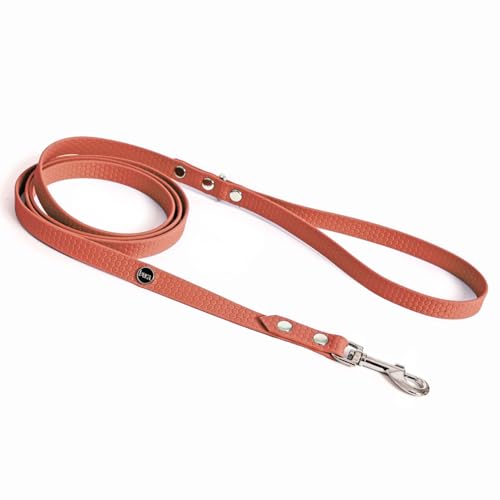 BURA Halsband Hund 180cm für Hunde Hundeleine Große Hunde, Leicht und Handlich, Verformt Sich Nicht, Langlebig, Wasserdicht, Nicht Allergen (pfirsich, S) von BURA