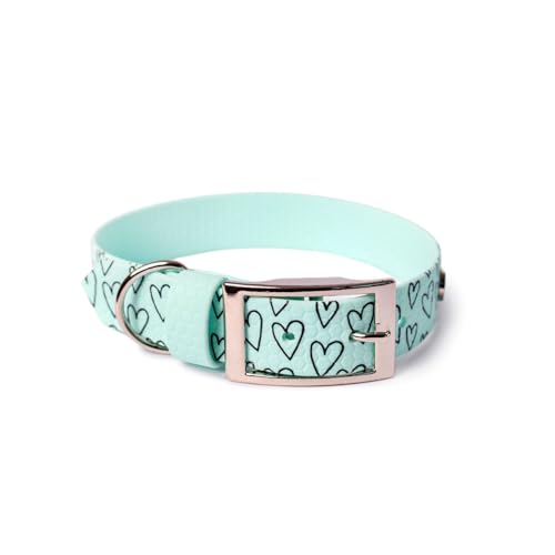 BURA Wasserdichtes Hundehalsband – geruchshemmend, robust und bequem – modernes Design mit verschiedenen Mustern – ideal für Spaziergänge und aktive Tage, Großes Herz, Mint, XXS BURA Wasserdichtes Hundehalsband – geruchshemmend, robust und bequem – modernes Design mit verschiedenen Mustern – ideal für Spaziergänge und aktive Tage, Großes Herz, Mint, XXS von BURA