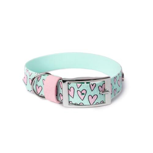 BURA Wasserdichtes Hundehalsband – geruchshemmend, robust und bequem – modernes Design mit verschiedenen Mustern – ideal für Spaziergänge und aktive Tage, Volles Herz, Mint, M BURA Wasserdichtes Hundehalsband – geruchshemmend, robust und bequem – modernes Design mit verschiedenen Mustern – ideal für Spaziergänge und aktive Tage, Volles Herz, Mint, M von BURA
