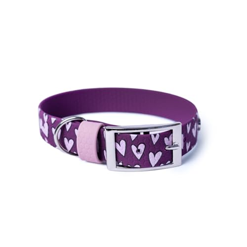 BURA Wasserdichtes Hundehalsband – geruchshemmend, robust und bequem – modernes Design mit verschiedenen Mustern – ideal für Spaziergänge und aktive Tage, Volles Herz, Violett, L BURA Wasserdichtes Hundehalsband – geruchshemmend, robust und bequem – modernes Design mit verschiedenen Mustern – ideal für Spaziergänge und aktive Tage, Volles Herz, Violett, L von BURA