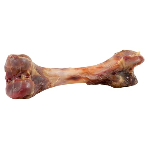 15x 290g Ganze Serrano Schinkenknochen für Hunde Hundeknochen 100% natürlich 4,35kg von BURI