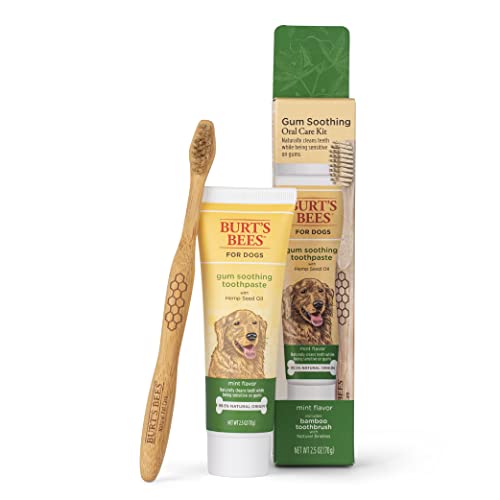 Burt's Bees for Dogs Care+ Oral Care Kit, Zahnfleisch Beruhigende Hundezahnpasta mit Hanfsamenöl und Bambus Hundezahnbürste | Hundezahnbürste Set für Hunde Zahnpflege von von BURT'S BEES FOR PETS