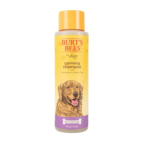 Burt's Bees for Pets Natürliches beruhigendes Lavendel-Hunde-Shampoo mit grünem Tee, Anti-Juckreiz und Allergielinderung, inklusive Haferflocken für beruhigenden Komfort, sulfat, parabenfrei, von BURT'S BEES FOR PETS