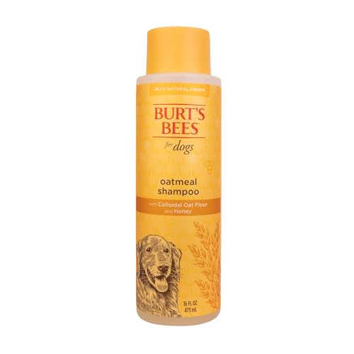 BURT'S BEES FOR PETS Haferflocken-Hundeshampoo, beruhigendes Shampoo für Hunde, sanftes Hundeshampoo für empfindliche Haut, feuchtigkeitsspendende Haustierpflege mit kolloidalem Hafermehl und Honig, von BURT'S BEES FOR PETS