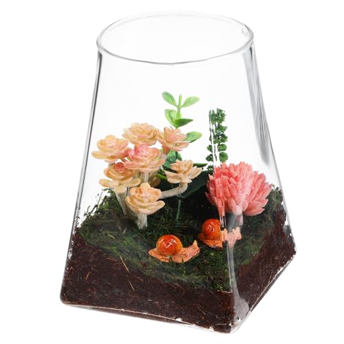 BUTIFULSIC Mikrolandschaftsflaschenvase Terrarium Mikrolandschaftsflaschenvermehrungsstation Pflanzenbehälter Glas von BUTIFULSIC