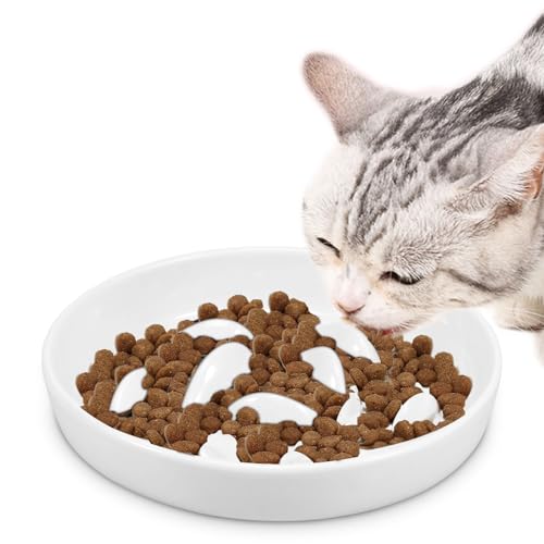 Anti Schling Napf Katzen Keramik Futternapf Katze Slow Feeder Katze Nassfutter Langsam Fütterung Katzennapf Essen Verlangsamen Interaktiver Fischform Design Fressnäpfe für Katzen Und Kleine Hunde von BUTORY