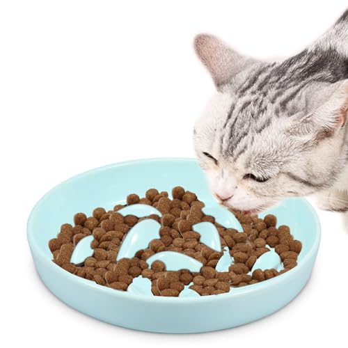 Anti Schling Napf Katzen Keramik Futternapf Katze Slow Feeder Katze Nassfutter Langsam FüTterung Katzennapf Essen Verlangsamen Interaktiver Fischform Design FressnäPfe FüR Katzen Und Kleine Hunde von BUTORY