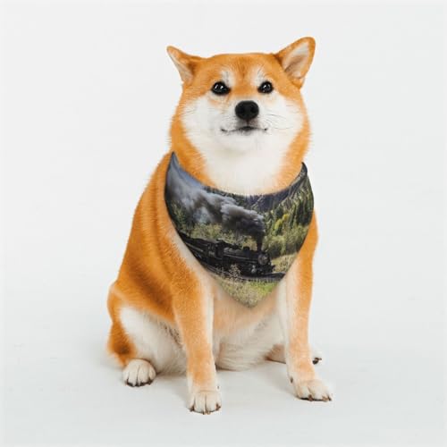 Hunde- oder Katzen-Dampflokomotiven-Zug-Schal, bedrucktes Muster, Haustier-Dreieck-Schal, mehrere Größen, Haustier-Bandana, Lätzchen, Halstuch von BUULOO