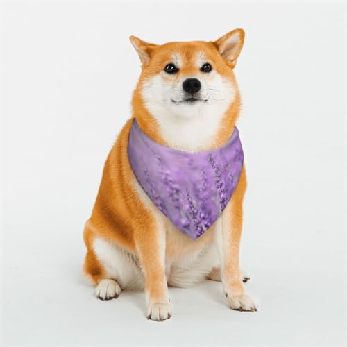 Schal für Hunde oder Katzen, romantisch, violett, Lavendel, bedrucktes Muster, Haustier-Dreieckschal, verschiedene Größen, Haustier-Bandana, Lätzchen, Halstuch von BUULOO