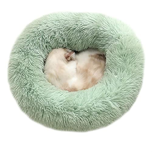 BUUNHI Hundebett Haustier-Hundebett für Hunde, Korb, Haustierprodukte, Kissen, Katzenbett, Katzenmatte, Tiere, Schlafsofa Hundematte (Color : Green, Size : 100cm) von BUUNHI