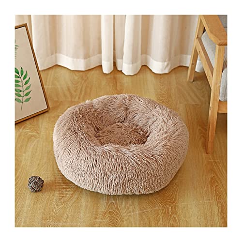 BUUNHI Hundebett Hundebett Plüsch Katzenmatte Hundebetten für große Hunde Haustierhütte Sofa für Hundekorb Haustier Katzenbett Hund Hundematte (Color : Tea, Size : 40cm) von BUUNHI