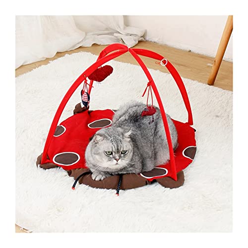 BUUNHI Hundebett Katzenzeltspielzeug Hängespielzeug Haustiere Spielbettspielzeug Katzenspielmatte Decke Haus Abnehmbare Kätzchenzelte Hundematte (Color : Ladybug) von BUUNHI