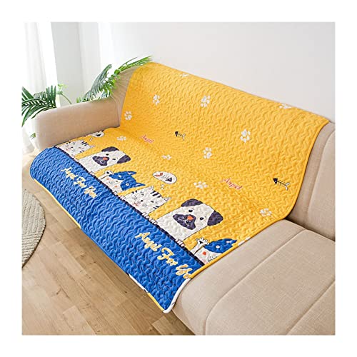 BUUNHI Hundebett Zwingerkisten Matte Katze Welpenkissen Wiederverwendbare waschbare Trainings-Pee-Pads Reise-Auto-Matten für Hunde Hundematte (Color : Dogs and Cats, Size : S - 70x70cm) von BUUNHI