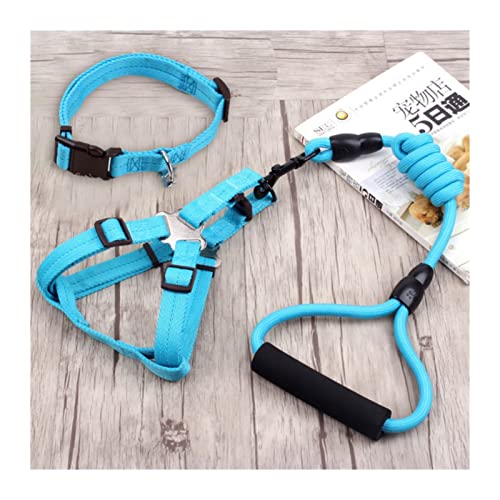 Hundeleine 3-teiliges Set Heimtierbedarf Sicherheitsseil Hundeleine Halsband Set Traktionsseil Brustgeschirr Verstellbare Führleine (Color : 3 Set Light Blue, Size : XS) von BUUNHI