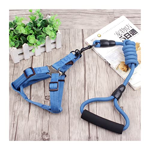 Hundeleine 3-teiliges Set Heimtierbedarf Sicherheitsseil Hundeleine Halsband Set Traktionsseil Brustgeschirr Verstellbare Führleine (Color : D Blue Leash Harness, Size : XS) von BUUNHI