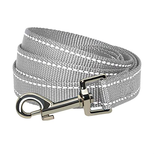 Hundeleine 3M Hundeleine für kleine mittelgroße Hunde im Freien, Hundehalsband und Leine, Haustiere, Katzen, Hundeseil Verstellbare Führleine (Color : Gray, Size : 2.0cm x 150cm) von BUUNHI