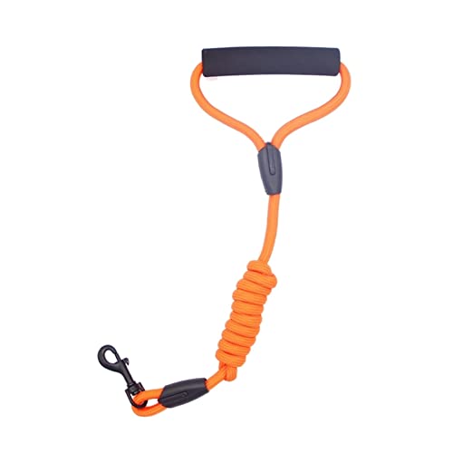 Hundeleine Dog Walking Anti-Stretching Hundekette Nylon Handseil Heimtierbedarf Verstellbare Führleine (Color : Orange 1.2cm, Size : Crude 1.0CM) von BUUNHI