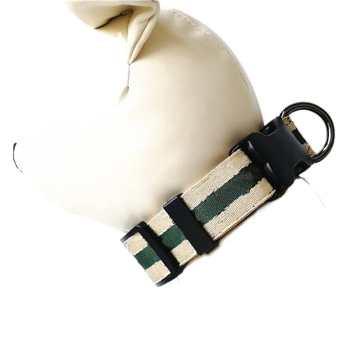 Hundeleine Hundeleine und Halsband Set Hundegeschirr und Leine Set Pet Chest Harness Set Hundezubehör Verstellbare Führleine (Color : Collar, Size : M) von BUUNHI