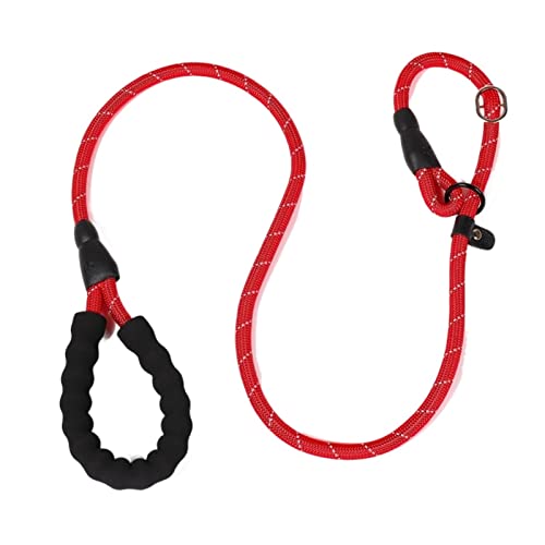 Hundeleine Laufleinen aus Nylon Seilhalsband 2 in 1 verstellbares Halsband klein mittelgroß Verstellbare Führleine (Color : Red, Size : 1.7M X 1.0CM) von BUUNHI