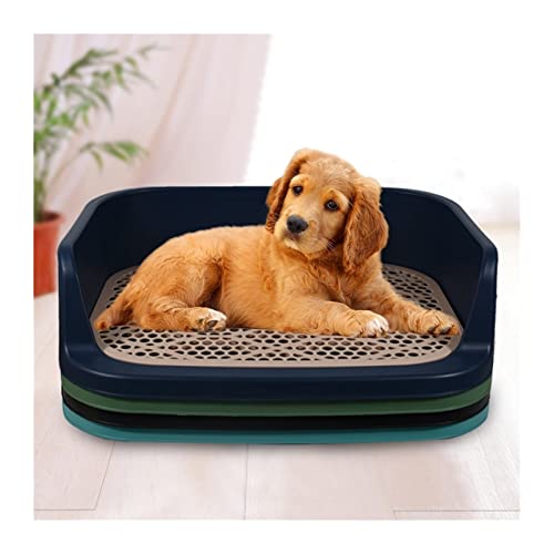 Hundetoilette 19.69 * 15.75 * 5.12in Black Dog Tapy Tablett Haustier Training Toilette Haustier Hund Toilette Katze Wurf Große Hund Wurf Box Haustiermatte von BUUNHI