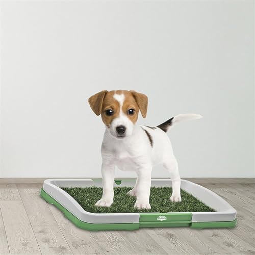 Hundetoilette 3 Schichten großes Hundehaustier-Töpfchen-Trainingstablett Gras-Toiletten-Simulationsrasen für Innentöpfchen Haustiermatte von BUUNHI