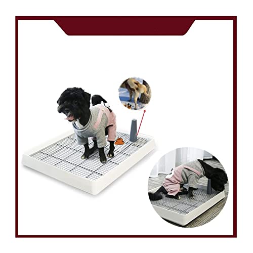 Hundetoilette 38.3x30.9x6.5cm Tragbare Haustier Toilette Indoor Training Hund Töpfchen Pad Kunststoff Tray Kleine Hund Katze Wurf Box Pet Supplies Haustiermatte von BUUNHI