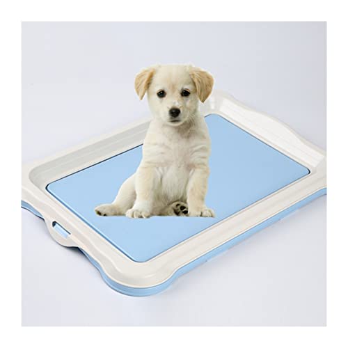 Hundetoilette Indoor Hunde Töpfe Tragbare Abnehmbare Hundetraining Toilette Tablett Indoor Puppy Cat Wurf Box Pet Supplies Töpfchen Haustiermatte (Color : 1) von BUUNHI