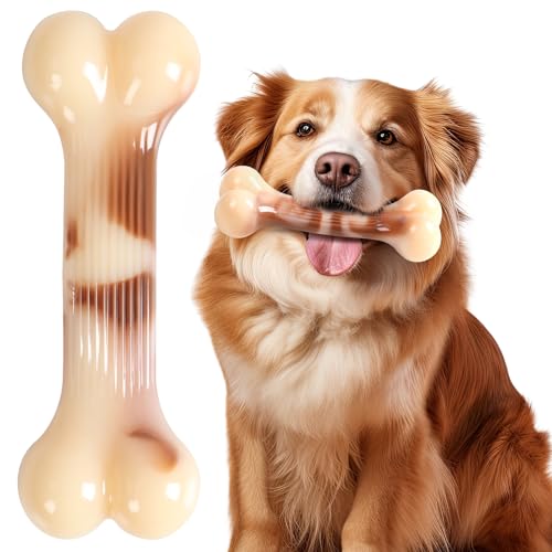 Hundeknochen Goodie Bone Unzerstörbares Kauspielzeug für aggressive Kauer, langlebiger Nylonknochen, robust, langlebig, Hundespielzeug, Welpenspielzeug, Zahnreinigung für mittelgroße und große von BUY IT ONCE