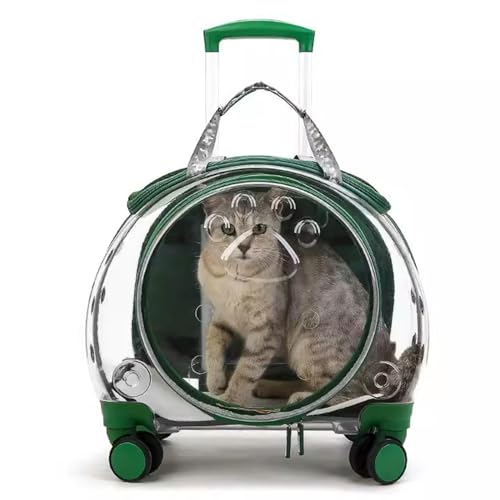 BWCKMTSC BWCKMTSC Haustier-Reise-Hundewagen-Kinderwagen-Rucksack, transparenter und atmungsaktiver Haustier-/Hunde-/Katzen-Rucksack, Reisebox, grün von BWCKMTSC