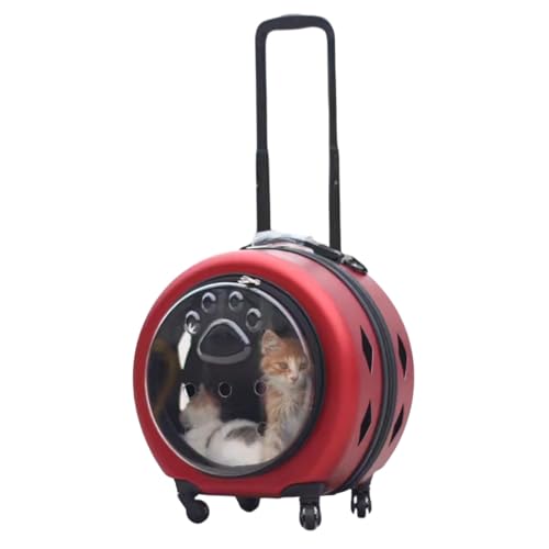 BWCKMTSC BWCKMTSC Haustiertransporter-Rucksack mit Trolley-Rädern und durchsichtigem Fenster für Hunde, Katzen, großer tragbarer Katzentransporter mit Matte, mehrere Tragemöglichkeiten für Reisen im von BWCKMTSC