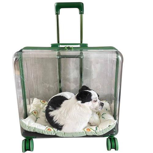 BWCKMTSC Katzentasche/Katzen-Trolley/Haustier-Tragetasche für kleine und mittelgroße Katzen, Welpen, Hunde, Kinderwagen, tragbare, transparente Raumkapsel-Haustiertasche für Reisen/Spaziergänge, grün von BWCKMTSC