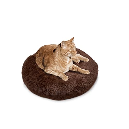 BWCKMTSC SUICRA Haustierbetten für Katzen, superweich, für Hunde, große Kätzchen, rundes Plüschkissen, Sofa, Winter, warmes Hundebett, Heimtierbedarf (Farbe: Braun, Größe: L) von BWCKMTSC