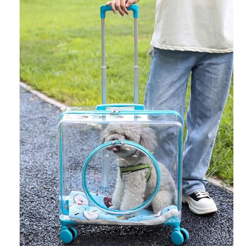 BWCKMTSC Transparente Luftpolster-Katzentransportbox mit Rädern, Freely Breathe Reise-Hundetransportbox mit Matten, Harte Katzentransportbox, leichte rollende Katzentransportbox für Katzen und Hunde, von BWCKMTSC