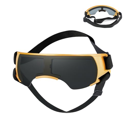 Anti-UV-Schutzbrille für Kleine Hunde, Sonnenbrille für Kleine Hunde, Winddichte Wasserdicht Sonnenschutz Haustierbrille Welpen mit Einstellbar Gummiband,Hundebrille für Haustiere (Gold) von BWLEANSY