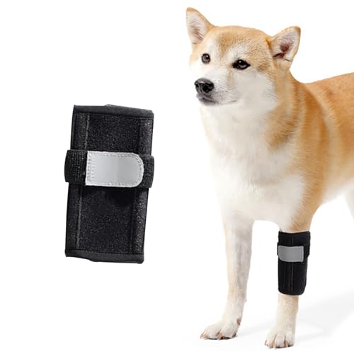 BWLEANSY Bandage für Hunde Vorderbein,Hunde-Bandage für die Vorderbeine,Gelenksbandage Hund,chützt die Wunden, unterstützt die Heilung durch Arthritis (L) von BWLEANSY