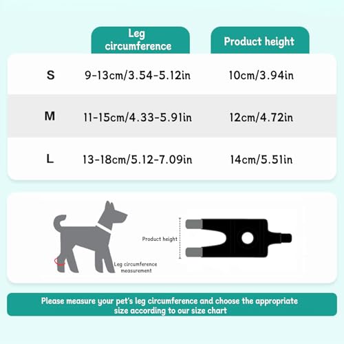 BWLEANSY Hund Gelenk Klammer Hinteres Bein Hund Sprunggelenk Stütze für Gelenkverletzungen und Verstauchungsschutz, Wundheilung,Hundebeinbandagen zur Unterstützung des Hinterbeins (S) von BWLEANSY